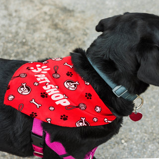 Agogo Pet Bandana - Large - 123660