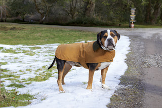 Carhartt Dog Chore Coat - CTP0000505