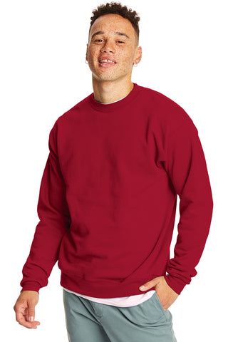 Hanes EcoSmart Crewneck Sweatshirt - P160