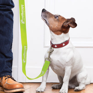 Tether Dog Leash (Pink) — Feature