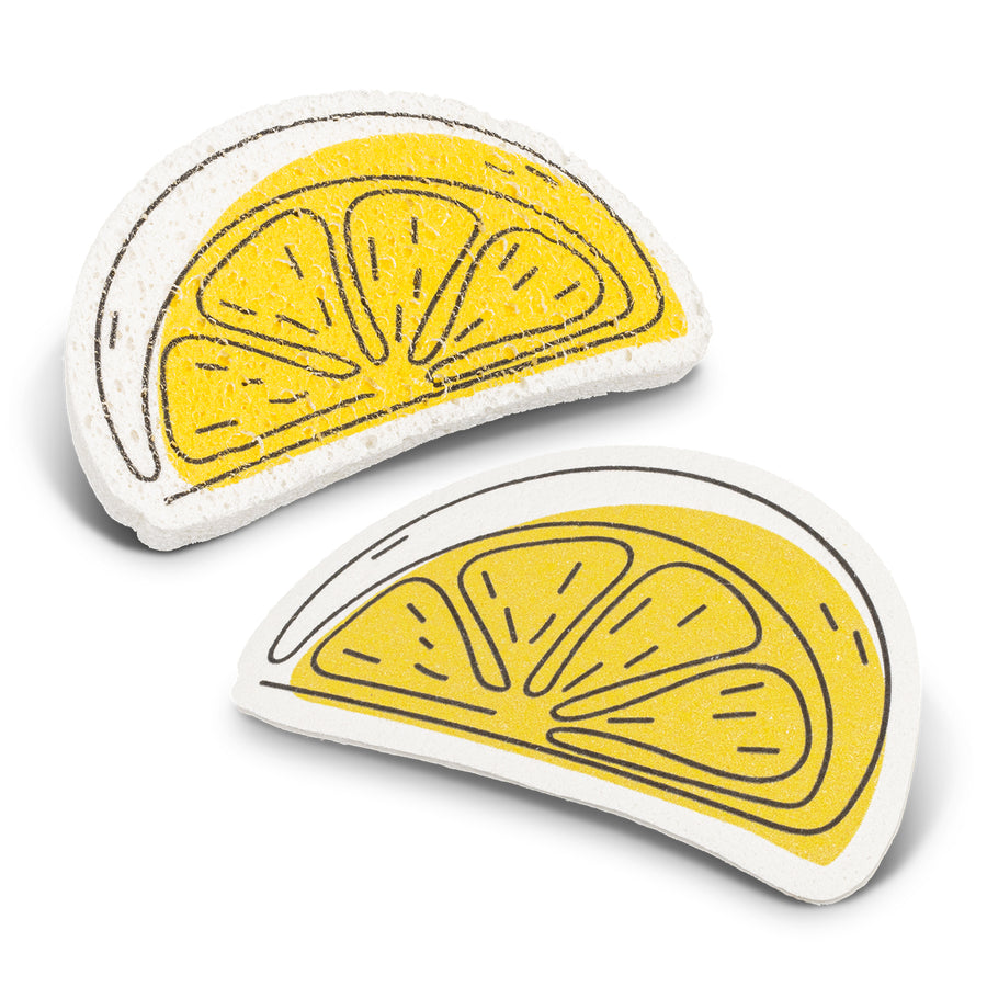 Bloom Sponge (White)