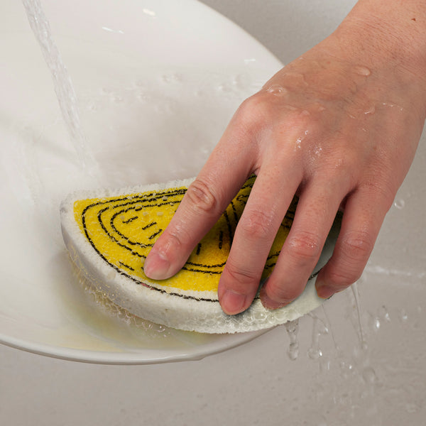 Bloom Sponge (White)