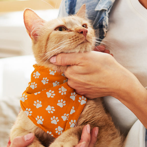 Scout Pet Bandana - Small (White)