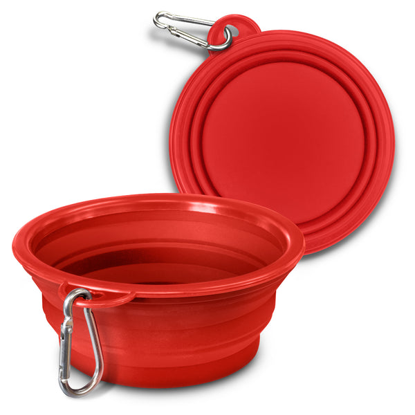 Companion Silicone Collapsible Pet Bowl (Green)
