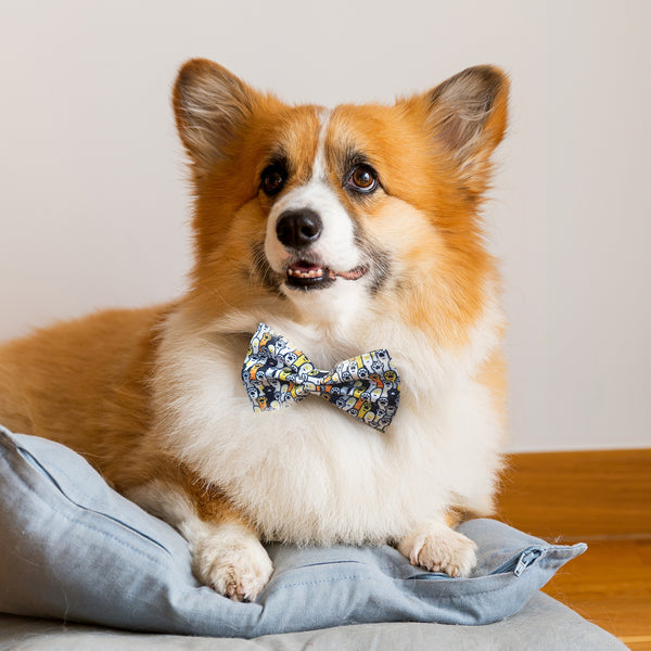 Dash Pet Bow Tie (White)
