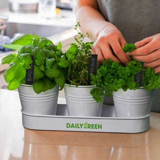 Keepsake Herb Planter (White) — Feature