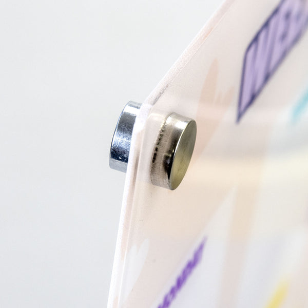 Chronicle Magnetic Fridge Planner (Clear)