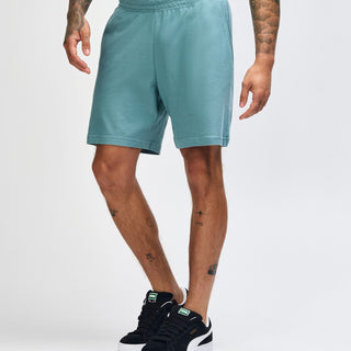 American Apparel 2PQ Shorts (Arctic)