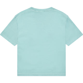 Comfort Colors 3023CL Boxy Cropped Chalky Mint - Back View | color:Chalky Mint|view:back