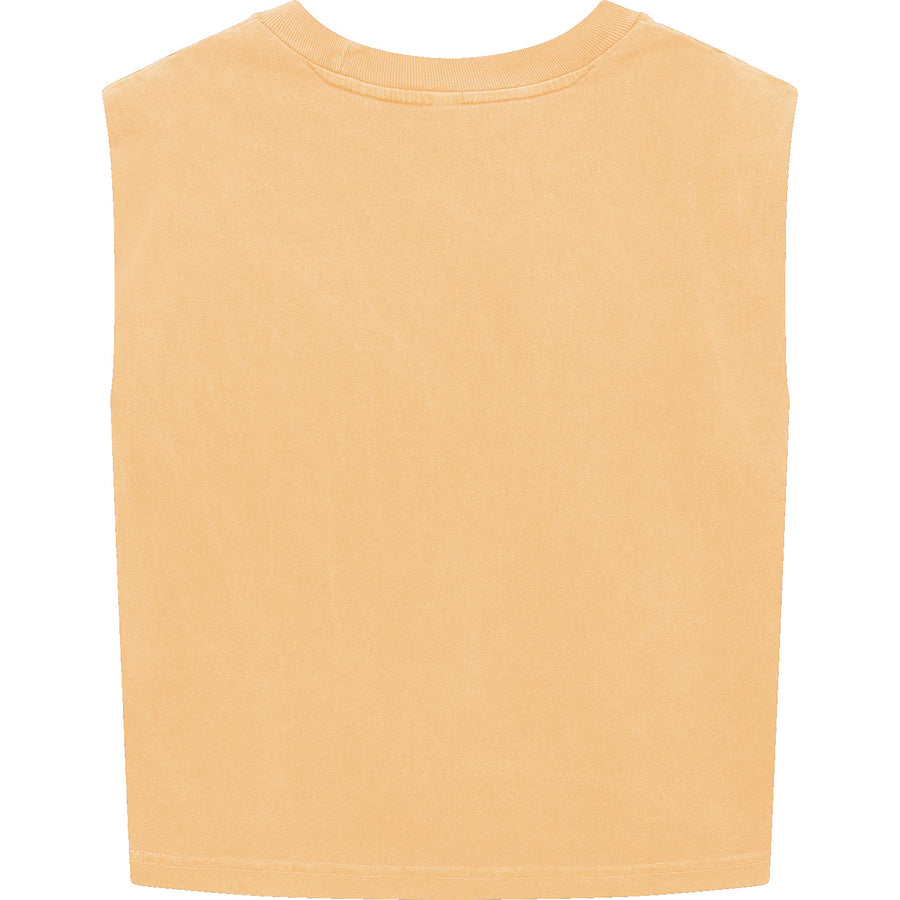 American Apparel 307GD Muscle T-Shirt (Faded Mustard)