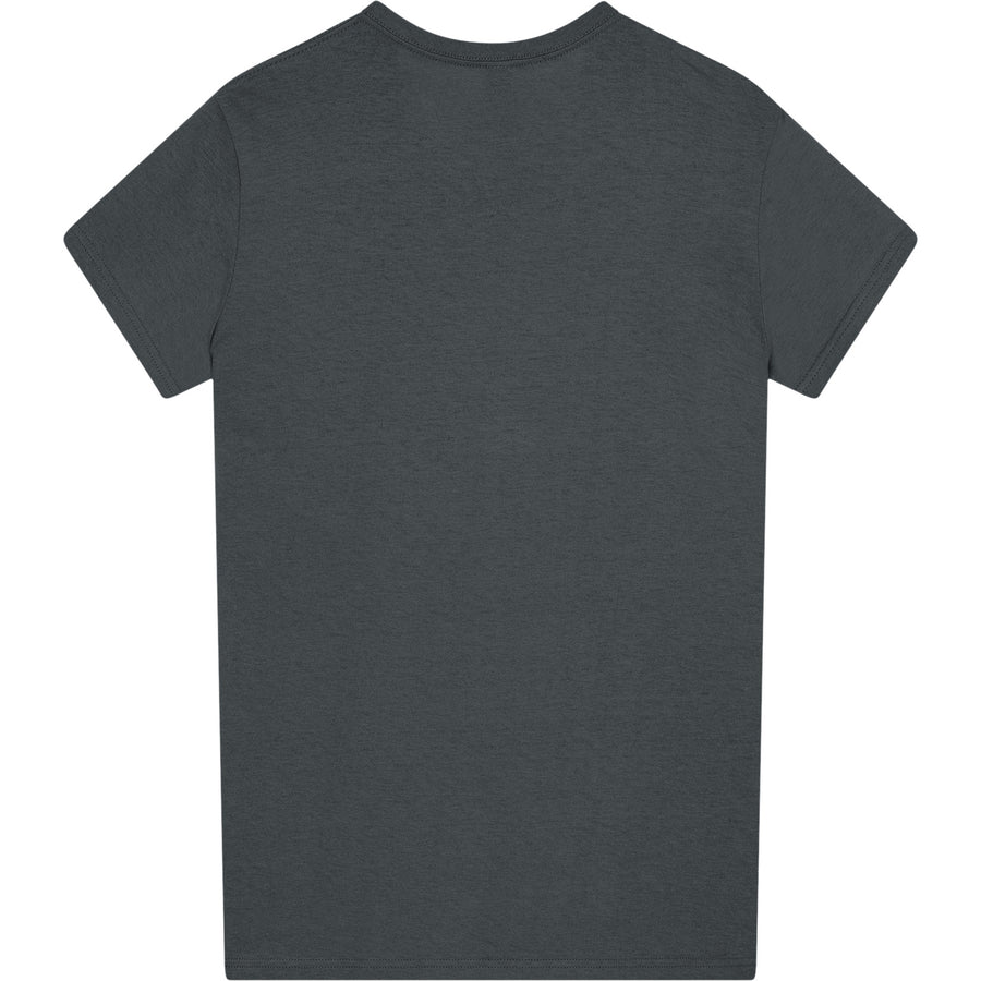 Gildan Heavy Cotton 5000L T-Shirt (Charcoal)