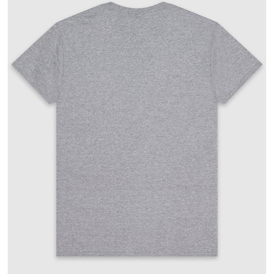 Gildan Heavy Cotton 5000 T-Shirt (Sport Grey)