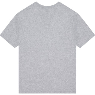 Gildan Softstyle 64000 Sport Grey - Back View | color:Sport Grey|view:back