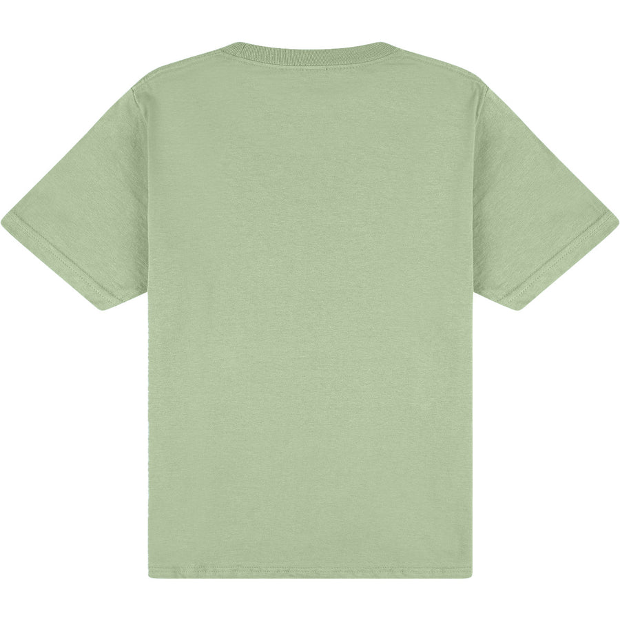 Gildan Softstyle 65000B T-Shirt (Sage)